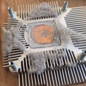 The Great Dust Bunny Uprising of 2025